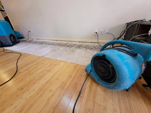 Professional Ceiling Water Damage Repair technician working in Bradley, IL